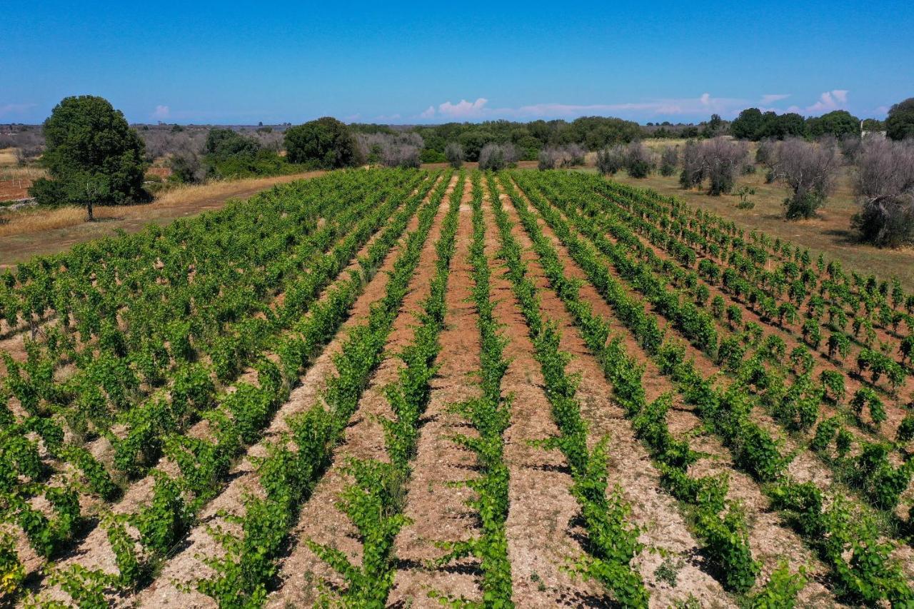Masseria Lilei Lizzanello ภายนอก รูปภาพ
