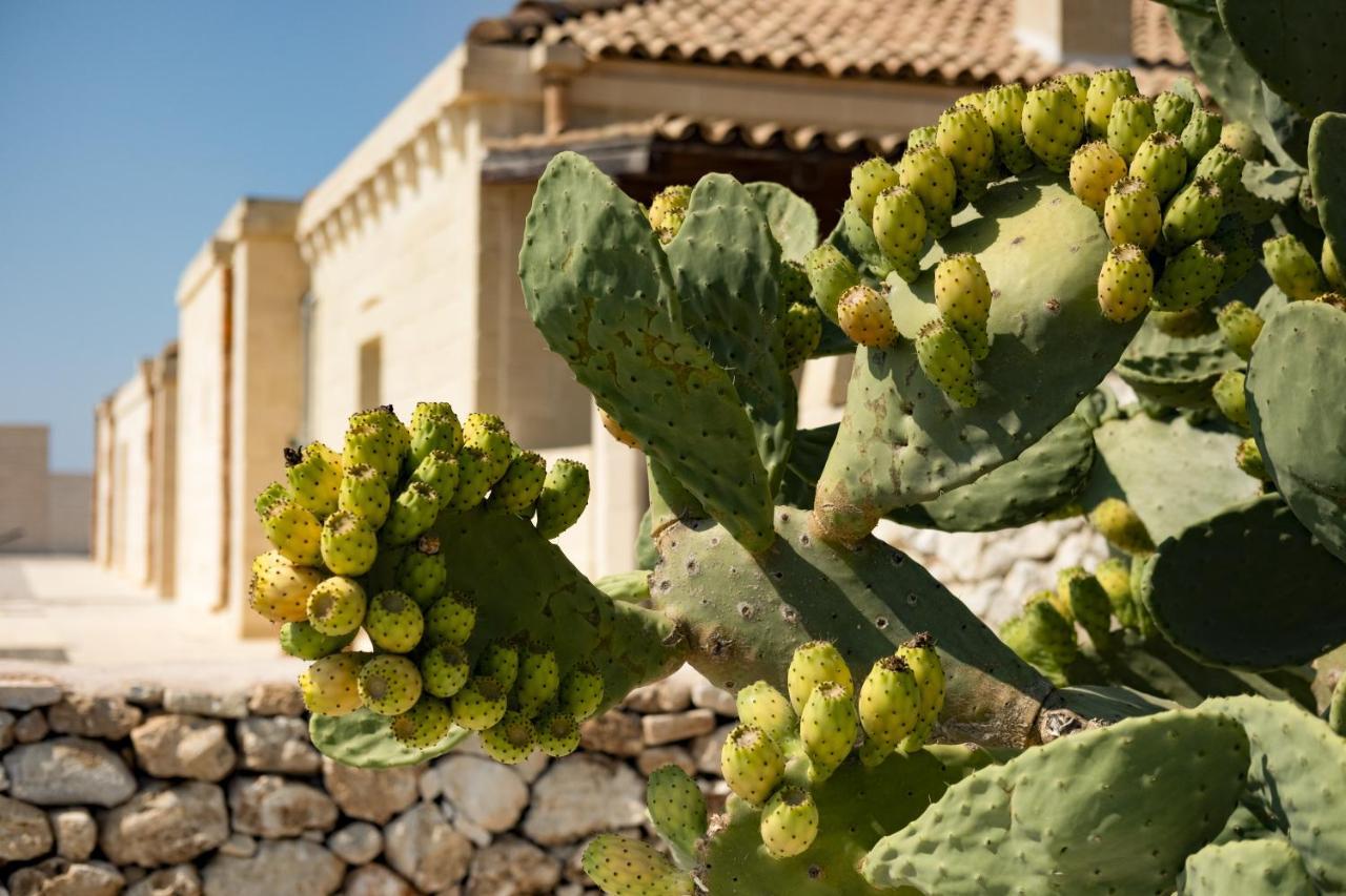 Masseria Lilei Lizzanello ภายนอก รูปภาพ
