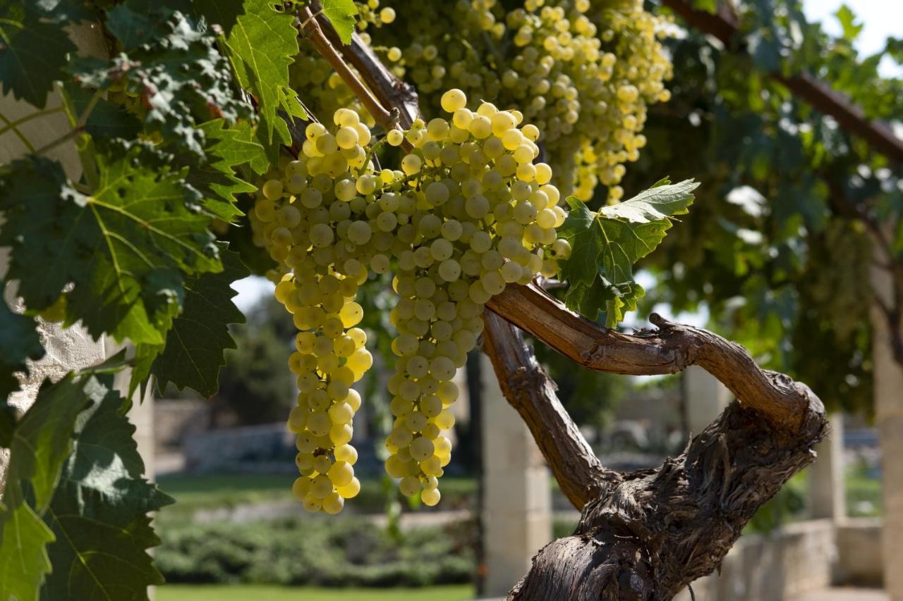 Masseria Lilei Lizzanello ภายนอก รูปภาพ
